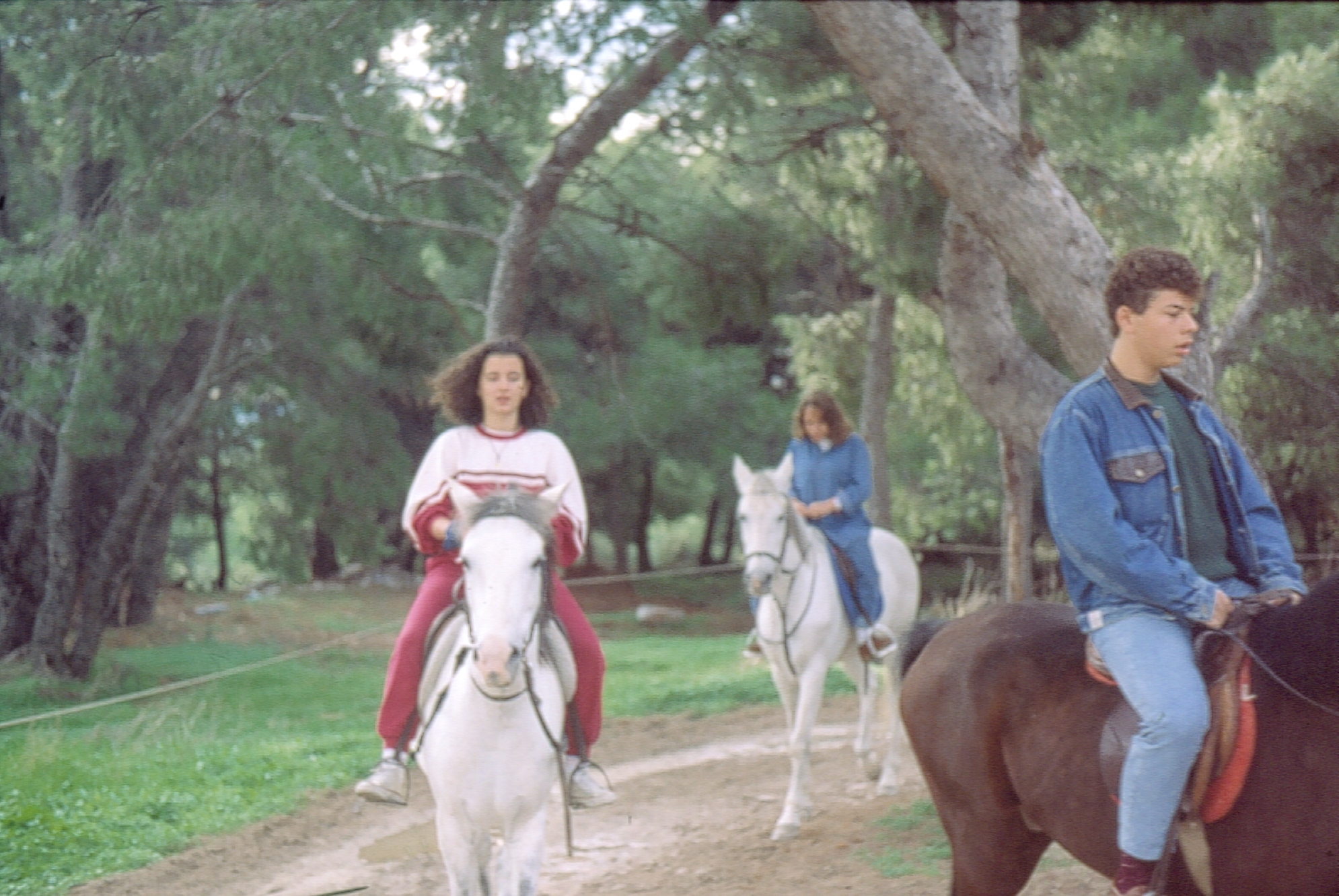 1991 Κοινότητα Ιππασία